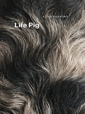 cover image of Life Pig